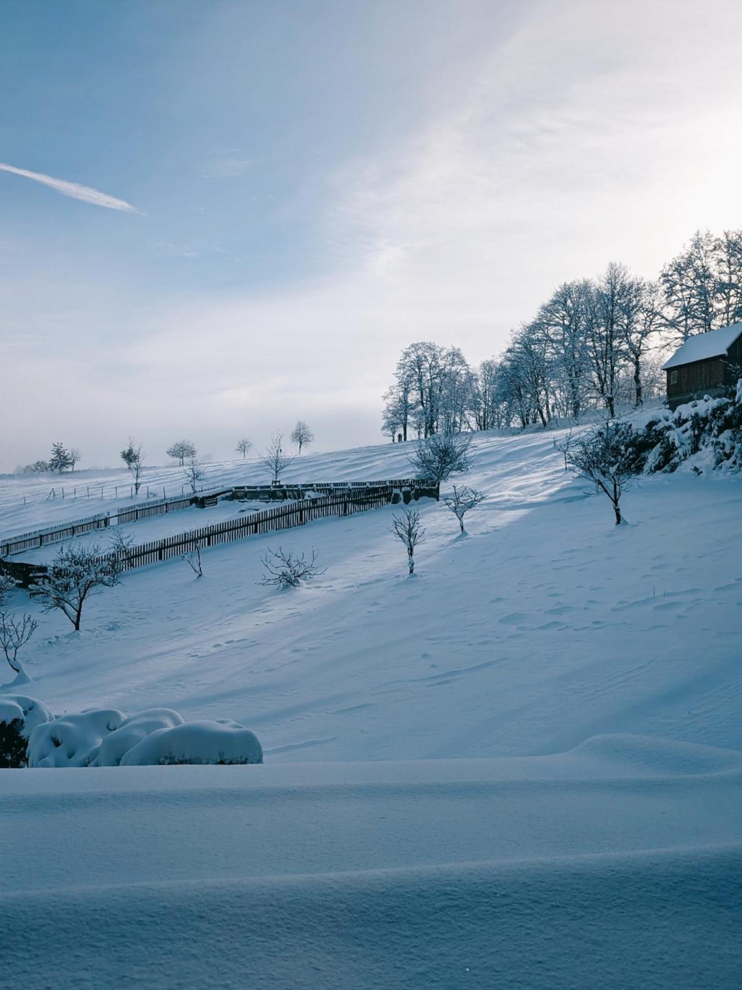 Landhaus Seiffen Zewnętrze zdjęcie